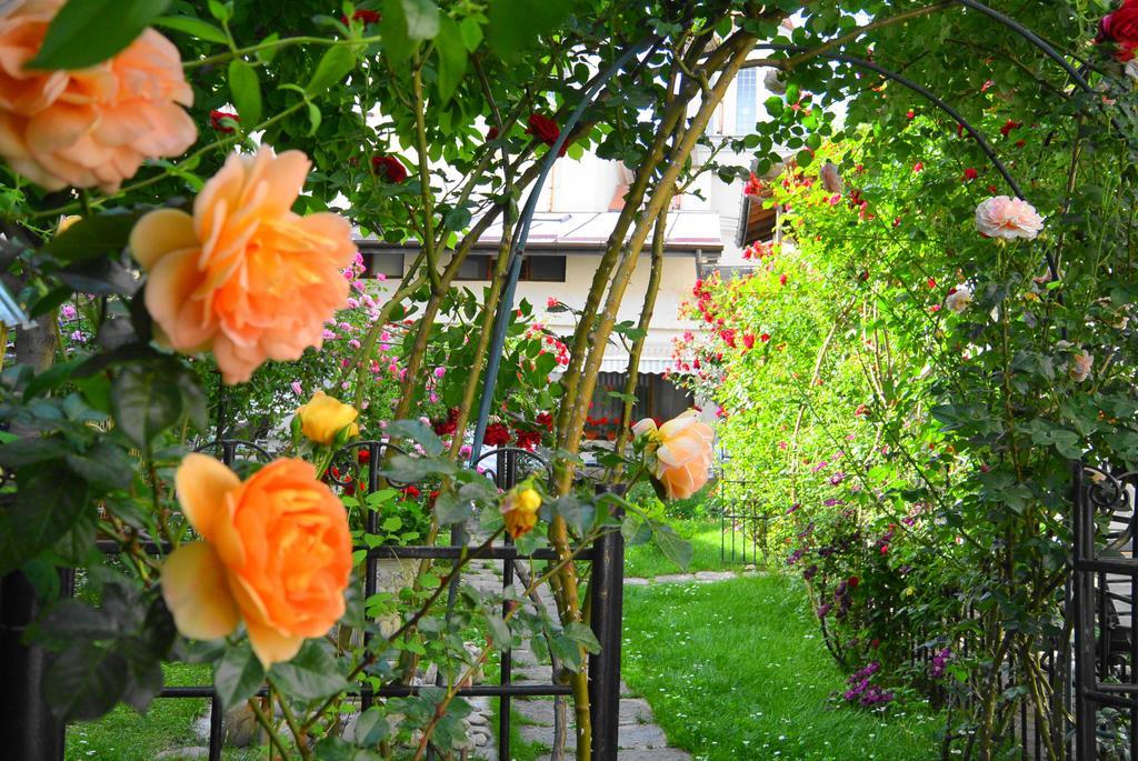 Residenza Dutzu-Boutique Hotel Braila Exterior photo