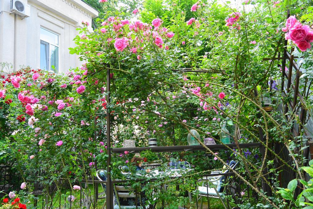 Residenza Dutzu-Boutique Hotel Braila Exterior photo