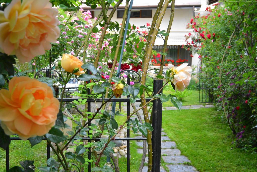 Residenza Dutzu-Boutique Hotel Braila Exterior photo